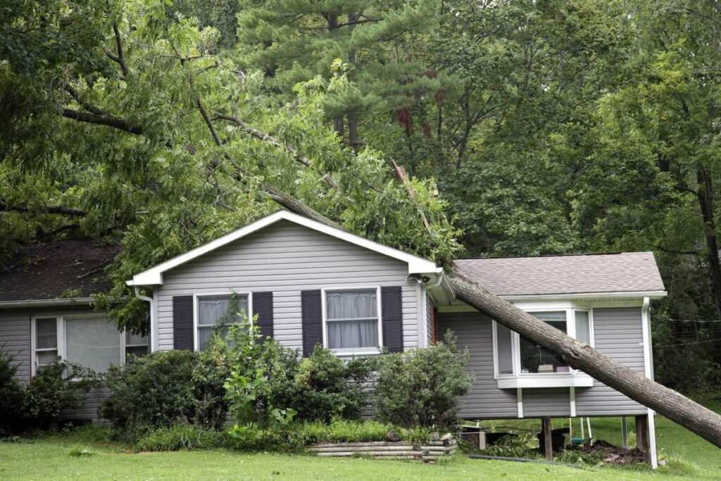 storm insurance